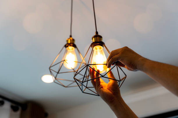 Best Electrician for Home Renovation  in Ogden, KS